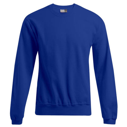 Promodoro Men's Sweater 80/20 2199 royal