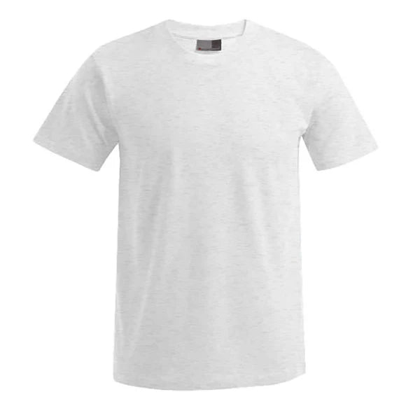 Fransaert Premium T-Shirt mit Logo – Promodoro 3099 in Ash