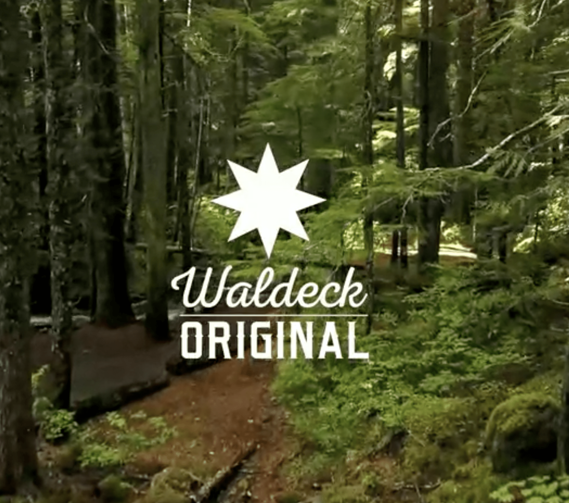 Logo von der Eigenmarke Waldeck Original. Kleidung produziert in Waldeck Frankenberg.